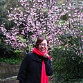 2010.02.15 大年初二回烏來看櫻花