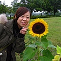 2010.02.19 東山休息站的大向日葵