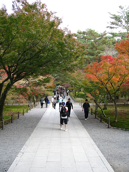 日本寺廟的走道都好乾淨