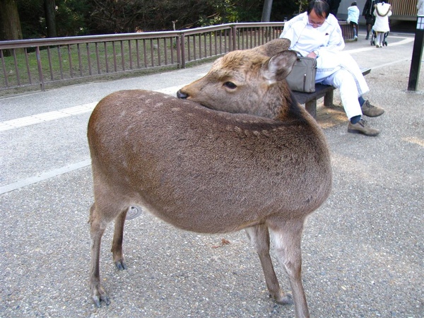 脖子可以轉180度