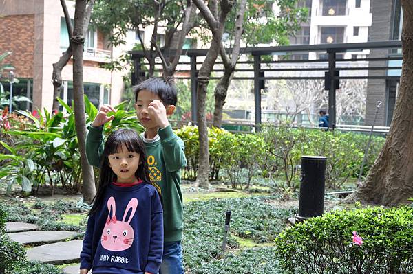 DSC_0039.JPG DSC_0039.JPG