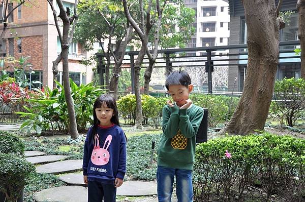 DSC_0052.JPG DSC_0052.JPG