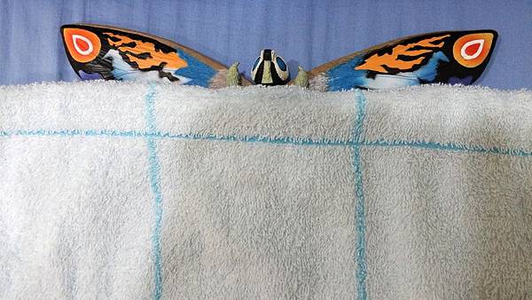 20160911_225456.jpg 20160911_225456.jpg