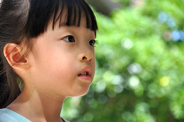 DSC_0005.JPG DSC_0005.JPG