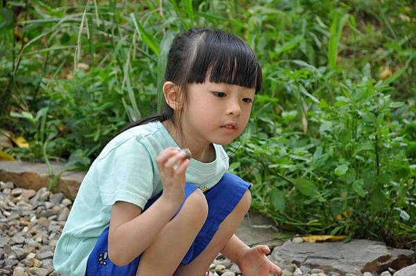 DSC_0032.JPG DSC_0032.JPG