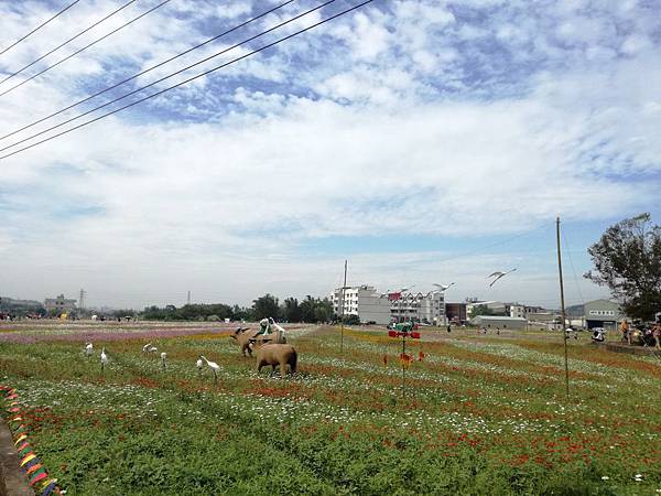 2016-11-19 11.37.04.jpg 2016-11-19 11.37.04.jpg