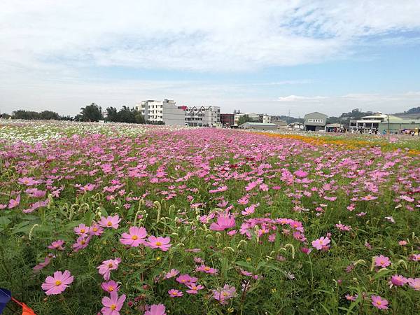 2016-11-19 11.39.11.jpg 2016-11-19 11.39.11.jpg