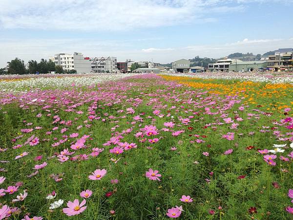 2016-11-19 11.40.08.jpg 2016-11-19 11.40.08.jpg