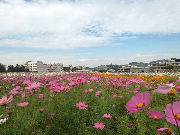 2016-11-19 11.40.13.jpg 2016-11-19 11.40.13.jpg