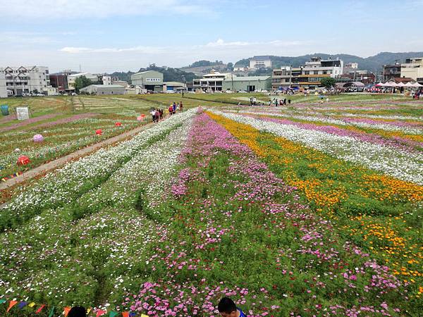 2016-11-19 11.42.32.jpg 2016-11-19 11.42.32.jpg