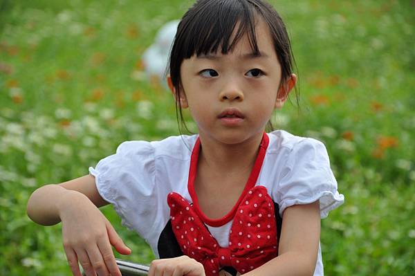 DSC_0008.JPG DSC_0008.JPG