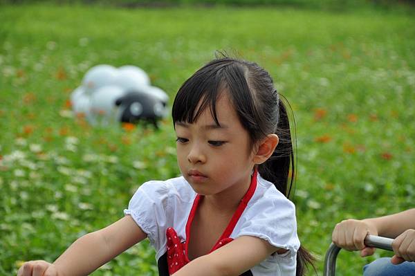 DSC_0009.JPG DSC_0009.JPG