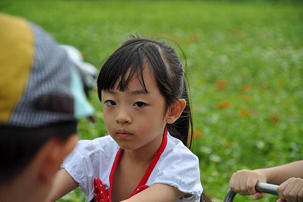 DSC_0010.JPG DSC_0010.JPG