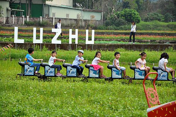 DSC_0017.JPG DSC_0017.JPG