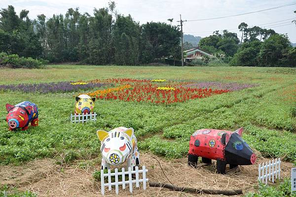 DSC_0037.JPG DSC_0037.JPG