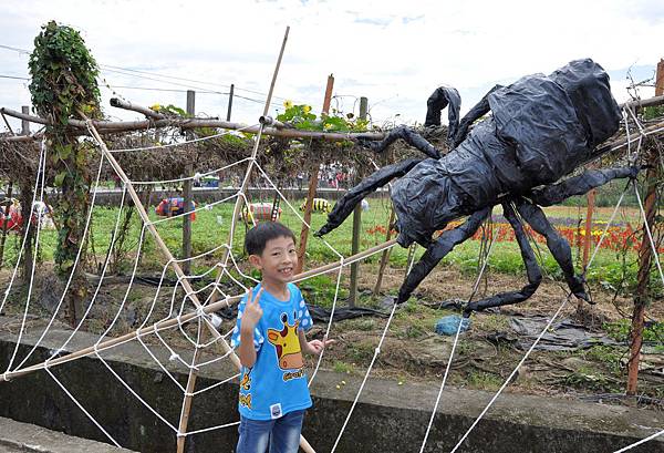 DSC_0041.JPG DSC_0041.JPG