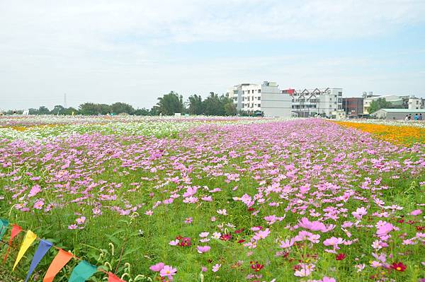 DSC_0043.JPG DSC_0043.JPG