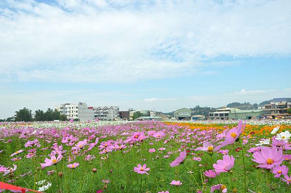 DSC_0048.JPG DSC_0048.JPG