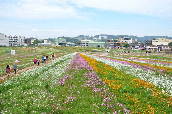 DSC_0056.JPG DSC_0056.JPG