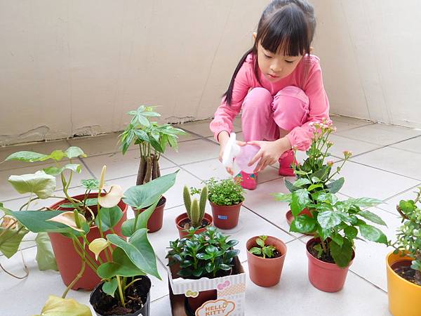 DSCN1680.JPG DSCN1680.JPG