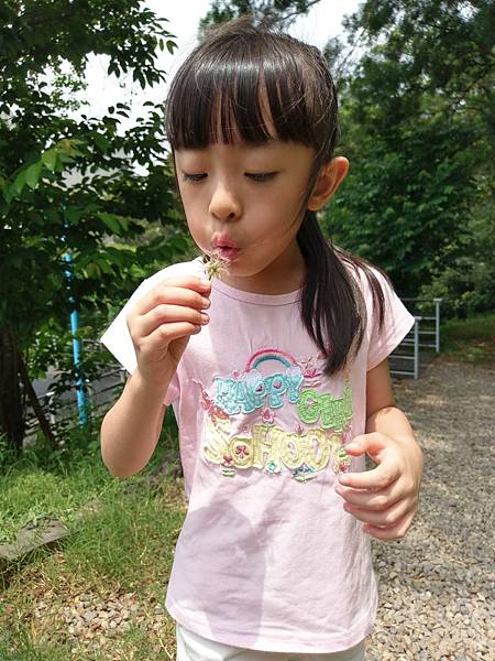 2018-04-29 11.20.05.jpg