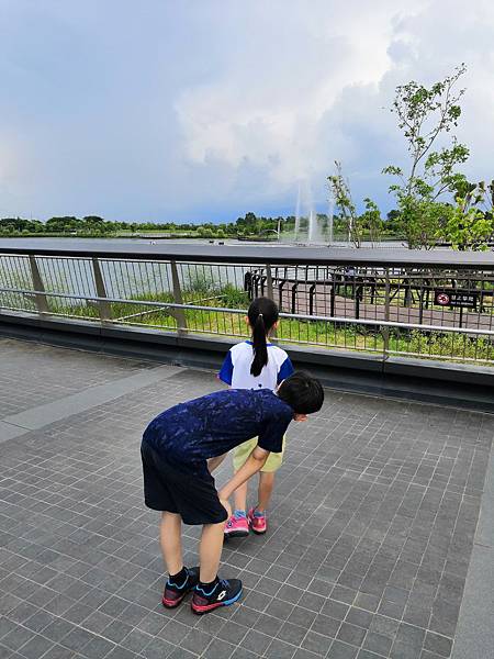 IMG_20190727_133328.jpg IMG_20190727_133328.jpg