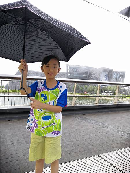 IMG_20190727_162843.jpg IMG_20190727_162843.jpg