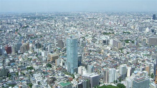 東京景色一覽無遺