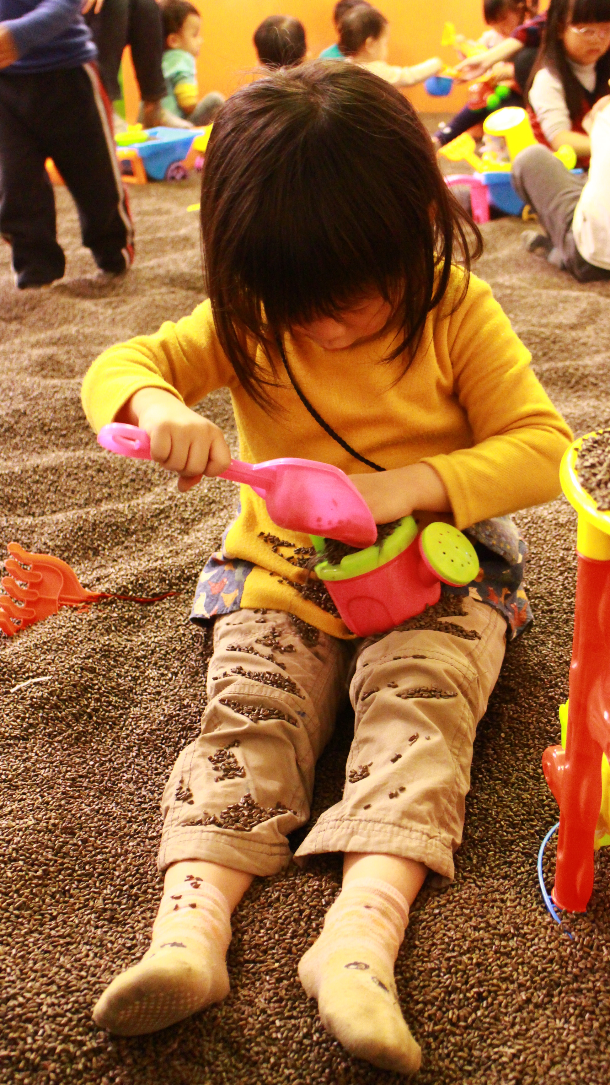 IMG_1592.JPG IMG_1592.JPG