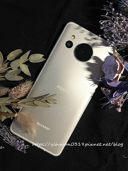 輕手機推薦 防水防摔!【SHARP】AQUOS sense8 輕手機推薦 防水防摔!【SHARP】AQUOS sense8