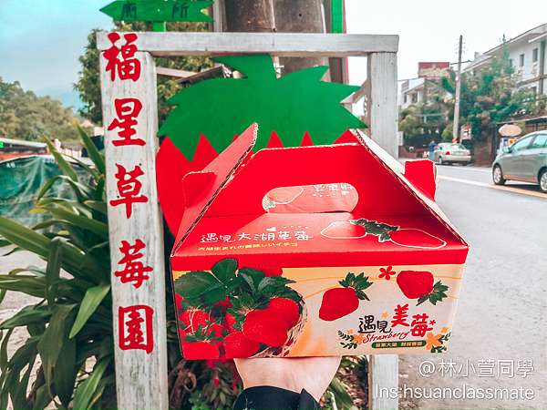 遊記 不只大湖可以採草莓 苗栗公館鄉草莓園推薦福星草莓園 林小萱同學 痞客邦