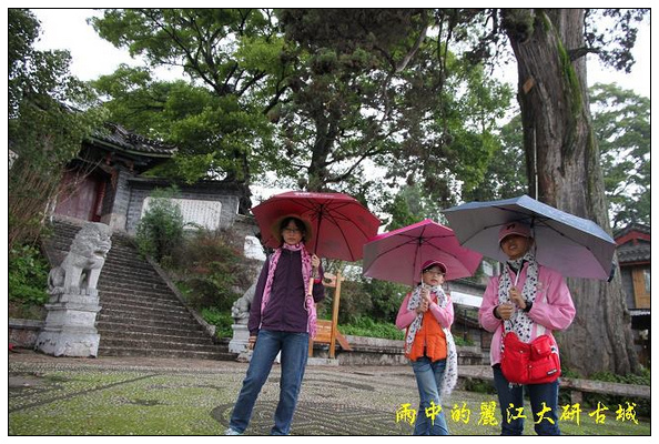 初見麗江大研古城 (7).jpg