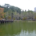 水鄉山岳 (136).jpg