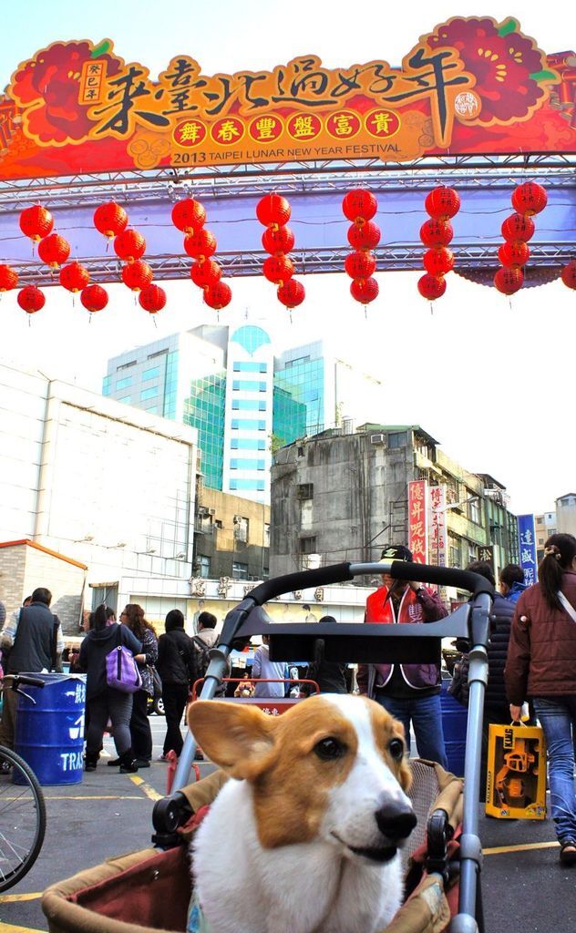 DSC06690 DSC06690