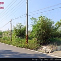 陸豐國小田園美地3.JPG