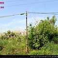 陸豐國小田園美地4.JPG