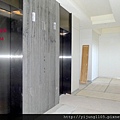 市政廳11F-電梯區1.JPG