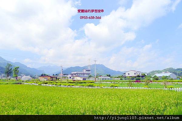 橫山大背山農地-10.JPG