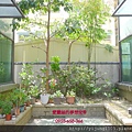 印象竹北-中庭.JPG