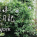 部落格banner.jpg