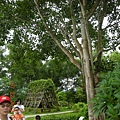 2012-7-22 西雙版納熱帶植物園02