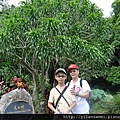 2012-7-22 西雙版納熱帶植物園08