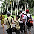 2012-7-22 西雙版納熱帶植物園13