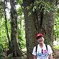 2012-7-22 西雙版納熱帶植物園15