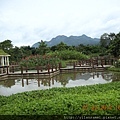 2012-7-22 西雙版納熱帶植物園18