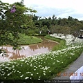 2012-7-22 西雙版納熱帶植物園19