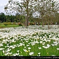 2012-7-22 西雙版納熱帶植物園21