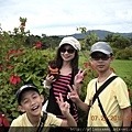 2012-7-22 西雙版納熱帶植物園27