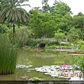 2012-7-22 西雙版納熱帶植物園45