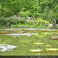 2012-7-22 西雙版納熱帶植物園46